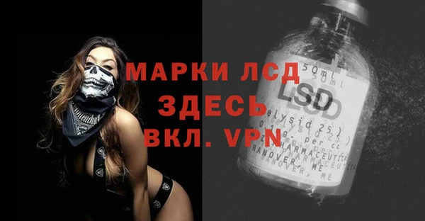 гашик Елизово