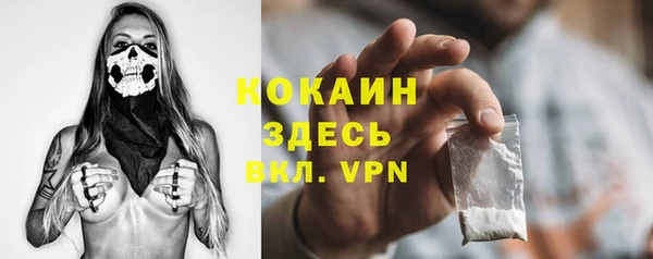ешки Ельня