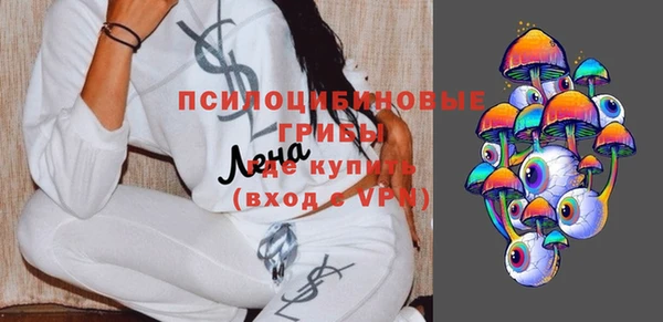 ешки Ельня