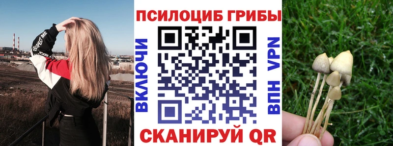 нарко площадка официальный сайт omg ССЫЛКА Галлюциногенные грибы Psilocybine cubensis Пласт даркнет сайт